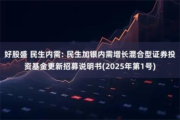 好股盛 民生内需: 民生加银内需增长混合型证券投资基金更新招募说明书(2025年第1号)