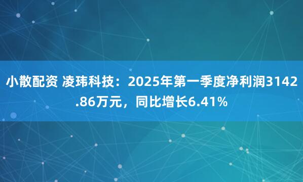 小散配资 凌玮科技：2025年第一季度净利润3142.86万元，同比增长6.41%