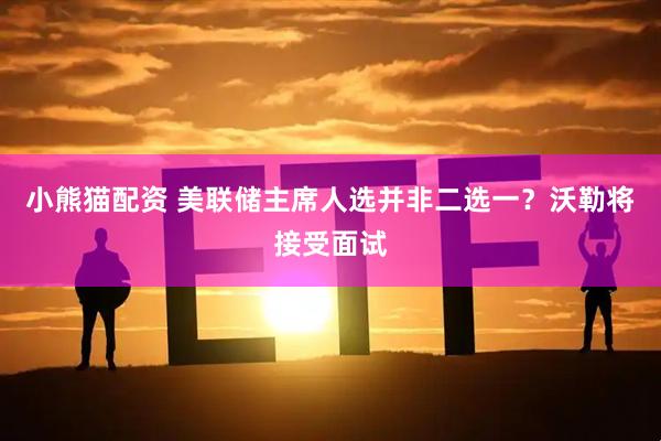 小熊猫配资 美联储主席人选并非二选一？沃勒将接受面试