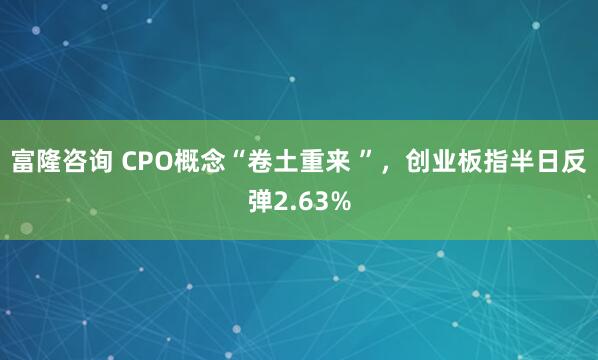 富隆咨询 CPO概念“卷土重来 ”，创业板指半日反弹2.63%